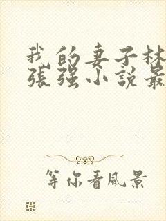 我的妻子林慧茹张强小说最新章节阅读