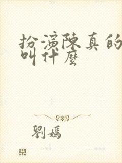 扮演陈真的演员叫什么