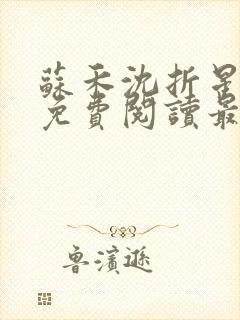 苏禾沈折星小说免费阅读最新章节封面