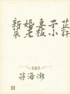 新婚妻子芷珊和菜老板小许小说免费阅读