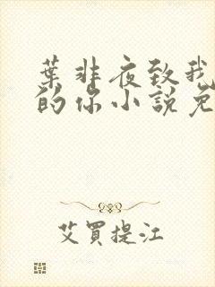 叶非夜致我最爱的你小说免费阅读