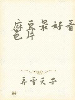 麻豆最好看的黄色片