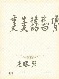 重生后我顶替了丈夫的白月光