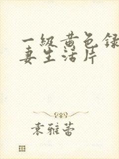 一级黄色录像夫妻生活片