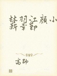 林羽江颜小说最新章节