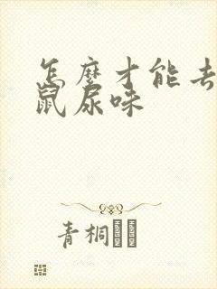 怎么才能去掉老鼠尿味封面