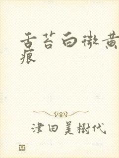 舌苔白微黄有齿痕封面