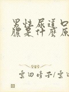 男性尿道口流白脓是什么原因引起的