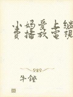 小妈爱上继子免费播放电视剧全集