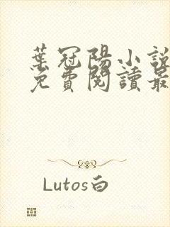 叶冠阳小说全文免费阅读最新章节