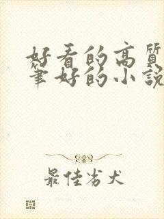 好看的高质量文笔好的小说