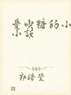 爱吃糖的小麻雀小说封面