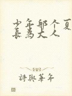 少年那个夏天成长为大人