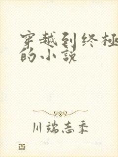 穿越到终极斗罗的小说