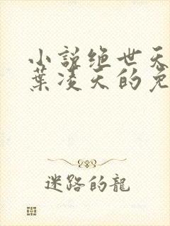 小说绝世天骄·叶凌天的免费阅读封面