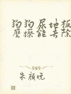 狗狗尿地板上怎么擦能去除骚味