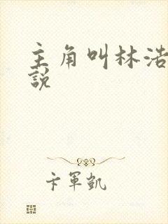 主角叫林浩的小说