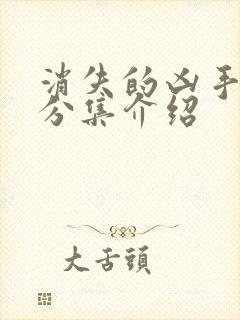 消失的凶手剧情分集介绍封面