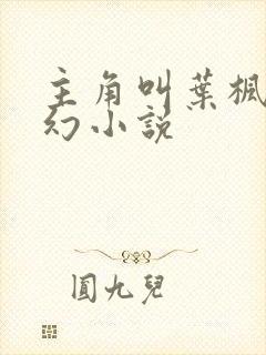 主角叫叶枫的玄幻小说