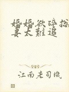 婚婚欲碎总裁前妻太难追