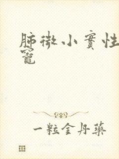 肺微小实性结节灶