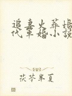 追妻火葬场的年代军婚小说