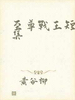 至尊战王短剧合集