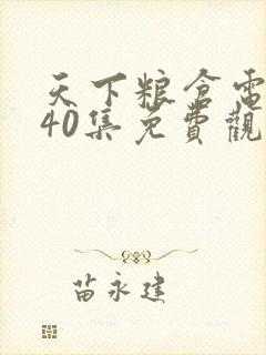 天下粮仓电视剧40集免费观看