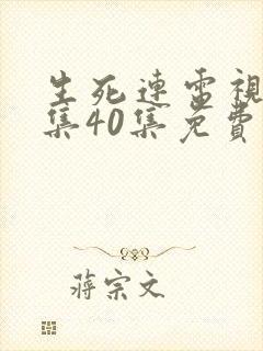 生死连电视剧全集40集免费观看高清封面