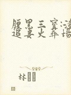 腹黑三宝:渣爹追妻火葬场小说