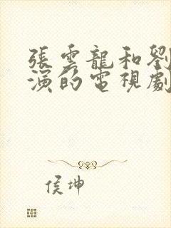 张云龙和刘诗诗演的电视剧叫什么