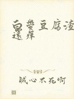 白带豆腐渣一样还痒封面