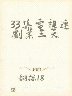 33集电视连续剧叶三天封面