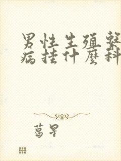 男性生殖系统疾病挂什么科