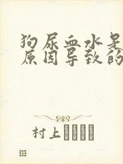 狗尿血水是什么原因导致的