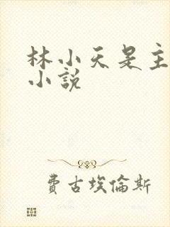 林小天是主角的小说