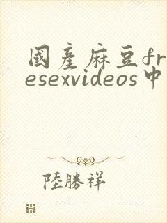 国产麻豆freesexvideos中国封面