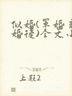 似婚(军婚 离婚后)全文小说