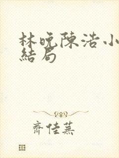 林晚陈浩小说大结局