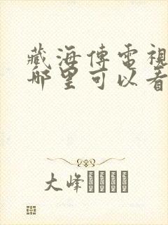 藏海传电视剧在哪里可以看全集封面