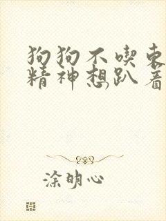 狗狗不吃东西没精神想趴着吃什么药