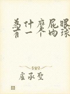 为什么屁眼那里有一个肉球