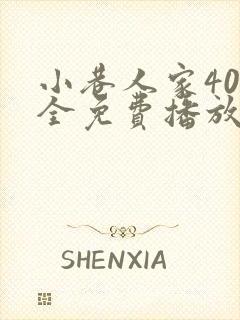 小巷人家40集全免费播放