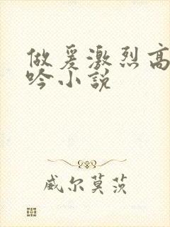 做爰激烈高潮呻吟小说