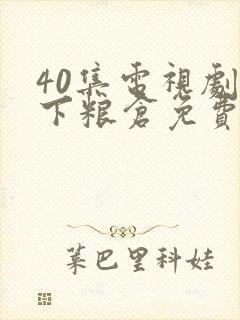 40集电视剧天下粮仓免费观看