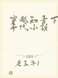 穿越知青下乡的年代小说