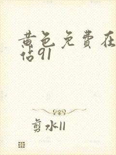 黄色免费在线网站91