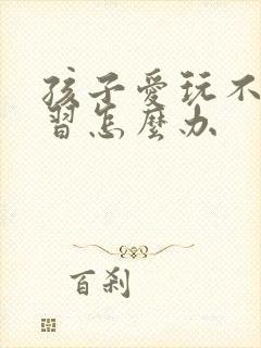 孩子爱玩不爱学习怎么办