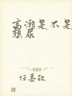 高潮是不是就是想尿