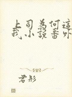 上司为何这样对我小说番外封面